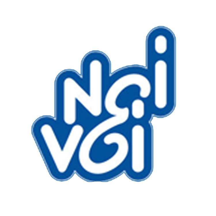 Noi Voi